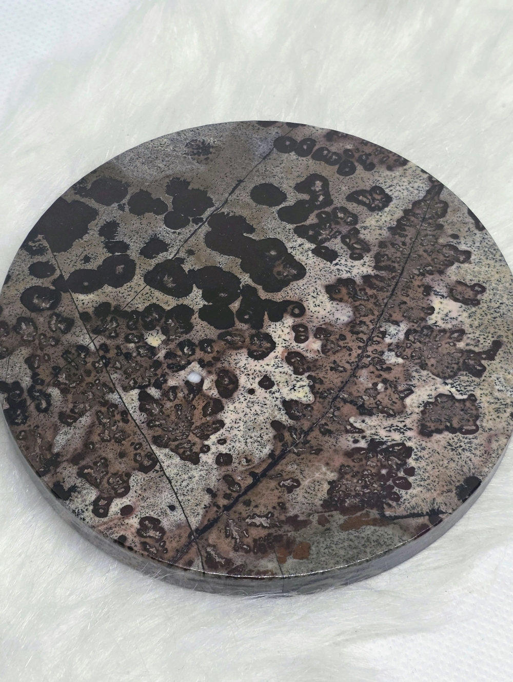 🔥 Picture Jasper Round Slab 3.7” – Scenic Landscape Stone – Crystal Coaster